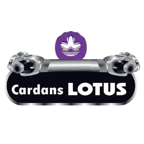 logo Sem Fundo 3