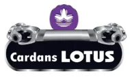 logo Sem Fundo 1